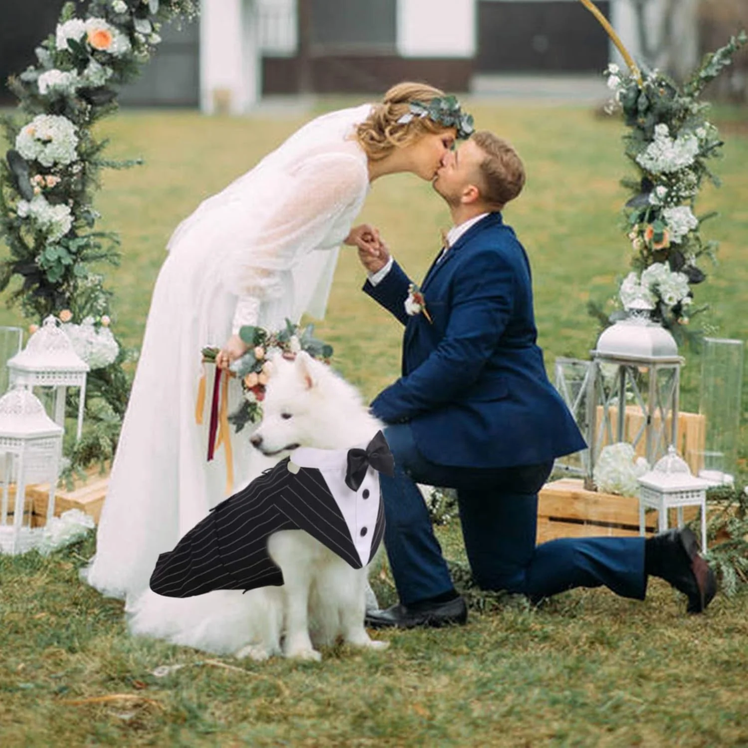 Dog Tuxedo Suit with Bow Tie – Wedding & Formal Outfit - Image 7