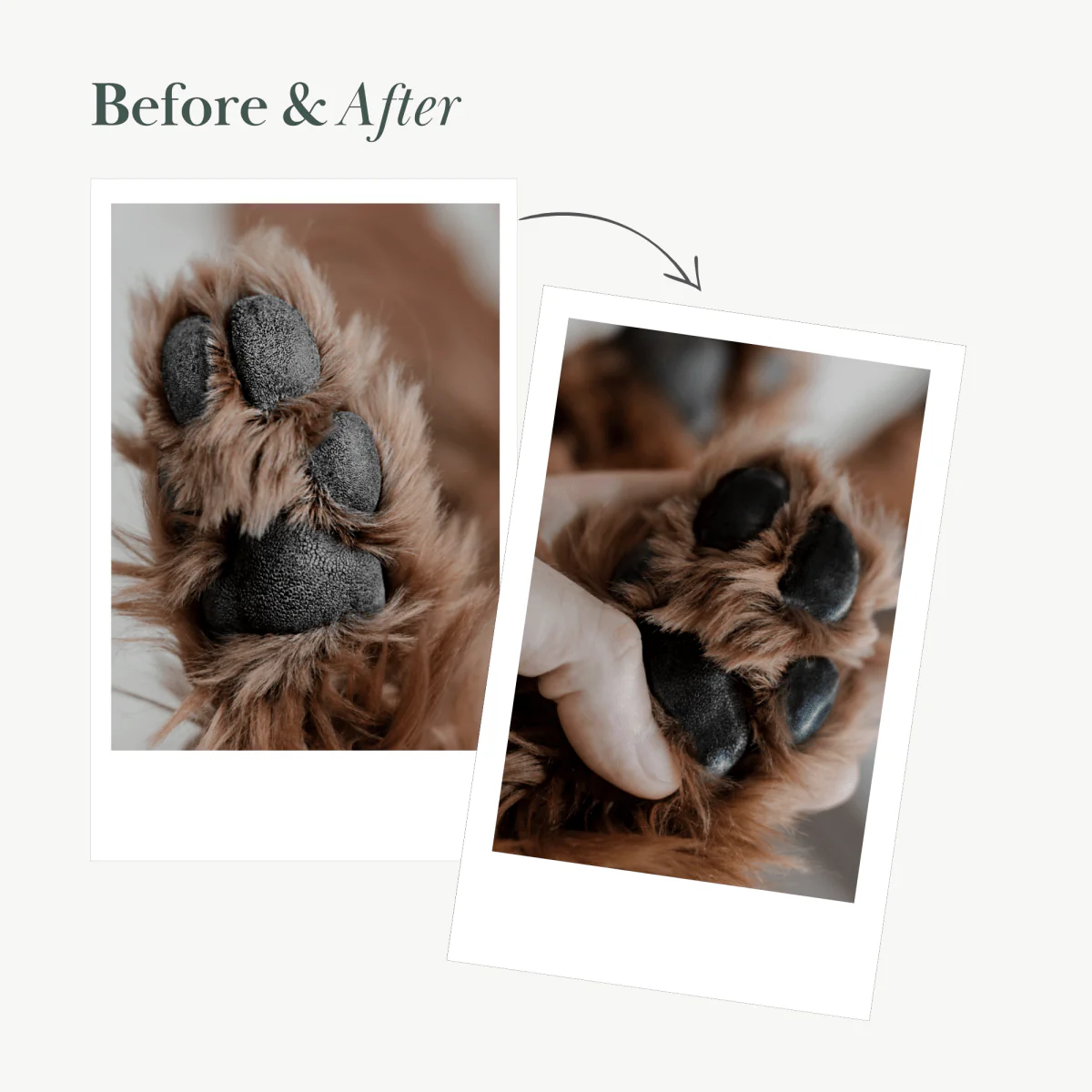 Dog Vegan Nose and Paw Balm - Image 3