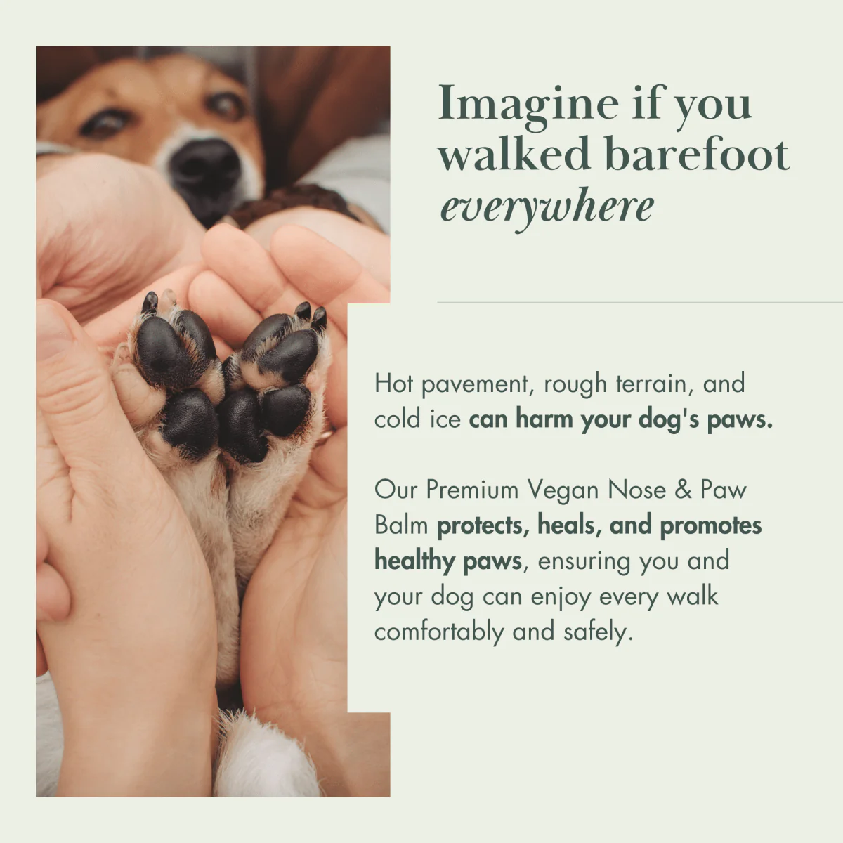 Dog Vegan Nose and Paw Balm - Image 6