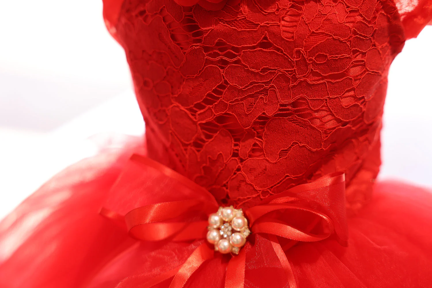 Dog Wedding Dress Red Rose Fairytale - Image 4