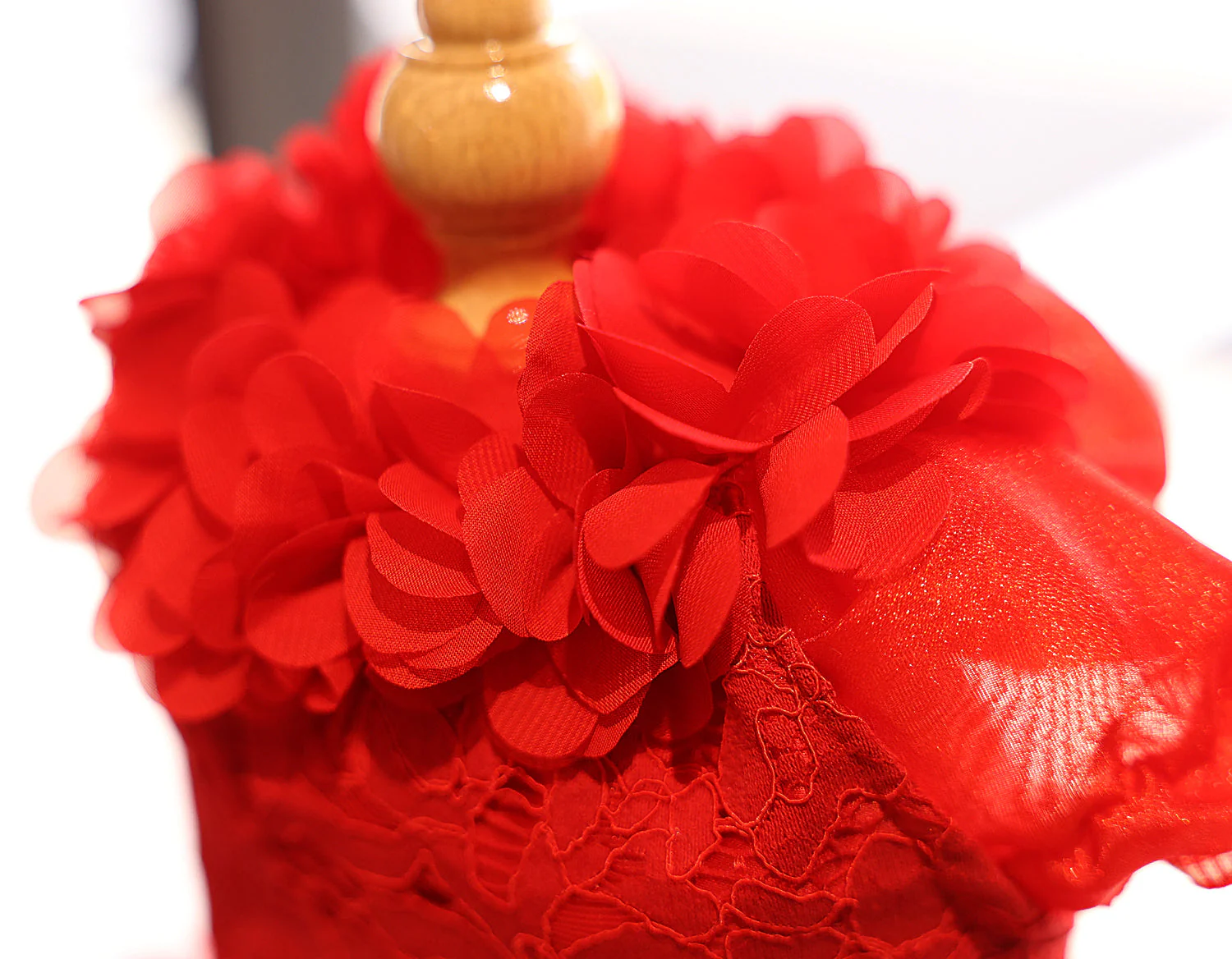 Dog Wedding Dress Red Rose Fairytale - Image 6