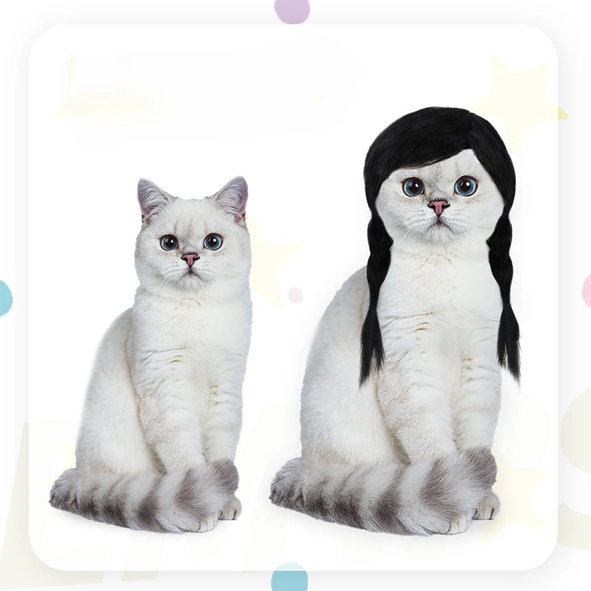 Dog wig costume - Image 7
