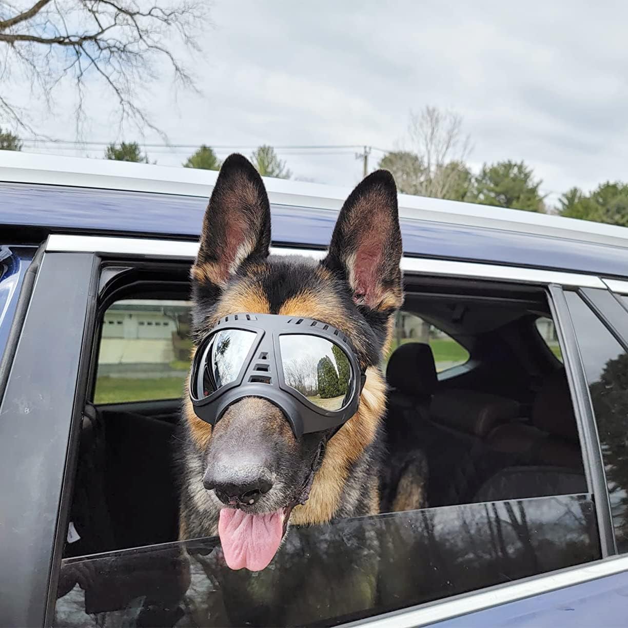 "Doggles" Dog Goggles Sunglasses - Image 5