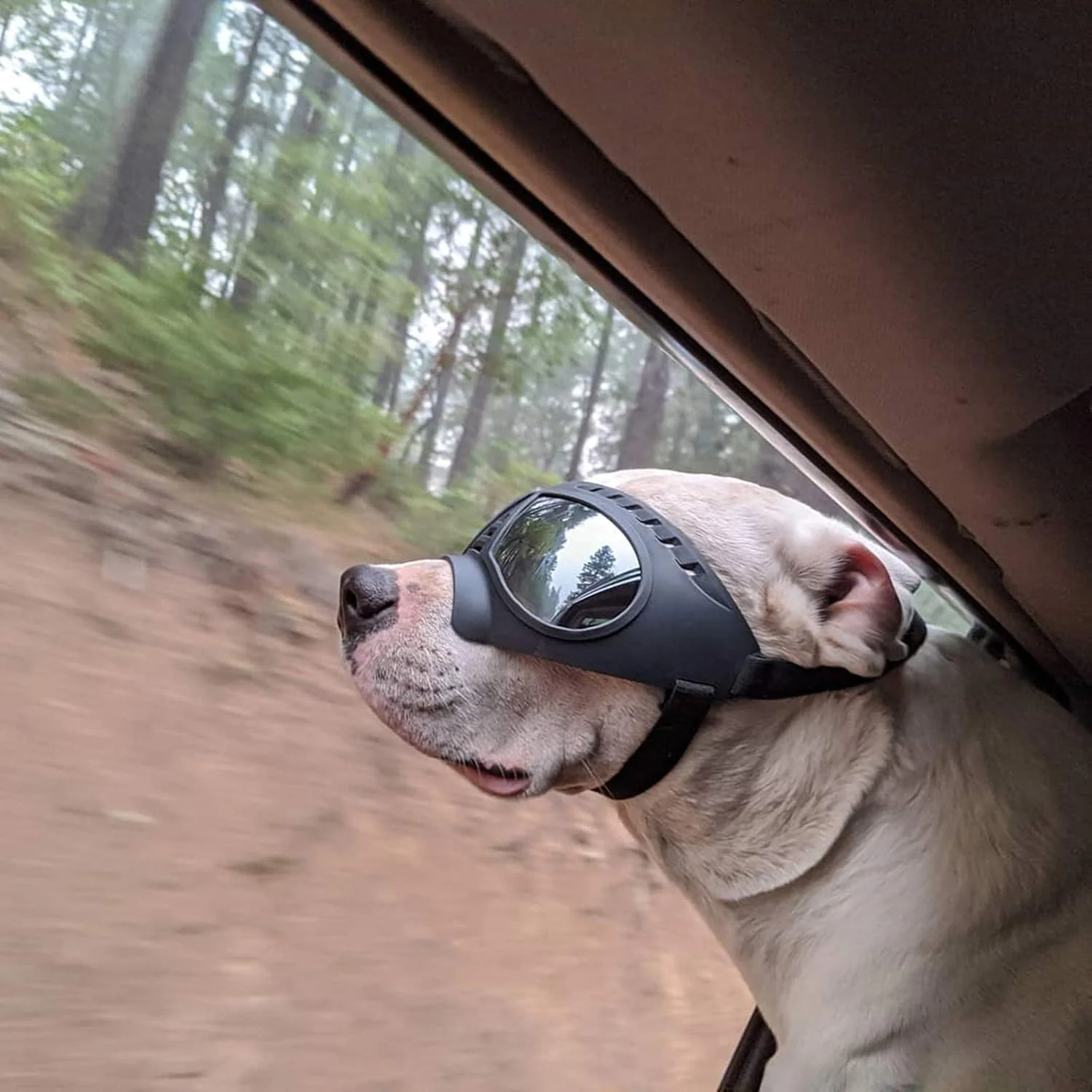"Doggles" Dog Goggles Sunglasses - Image 8