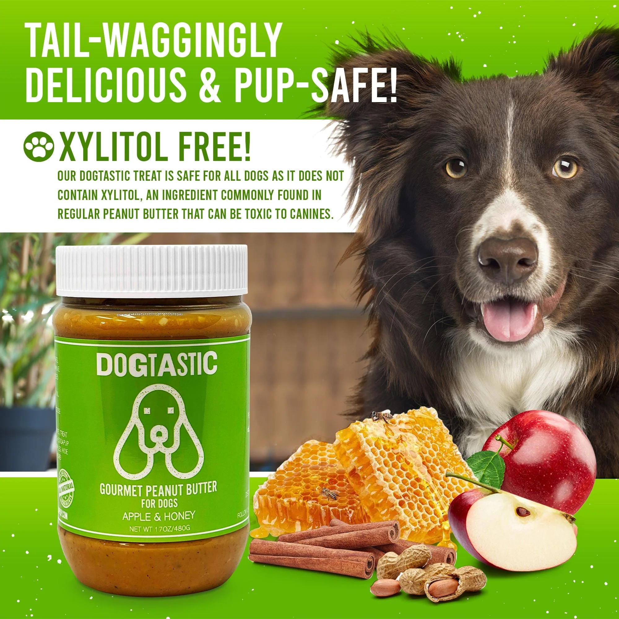 Dogtastic Peanut Butter for Dogs with Flax Seed - Xylitol-Free | USA Made - 50% off - Image 5