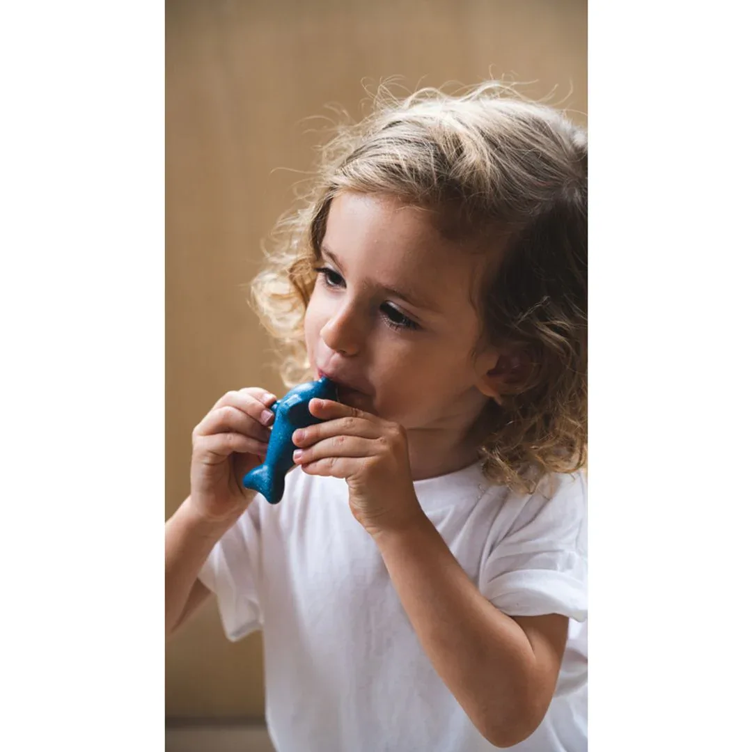 Dolphin Whistle - Image 4