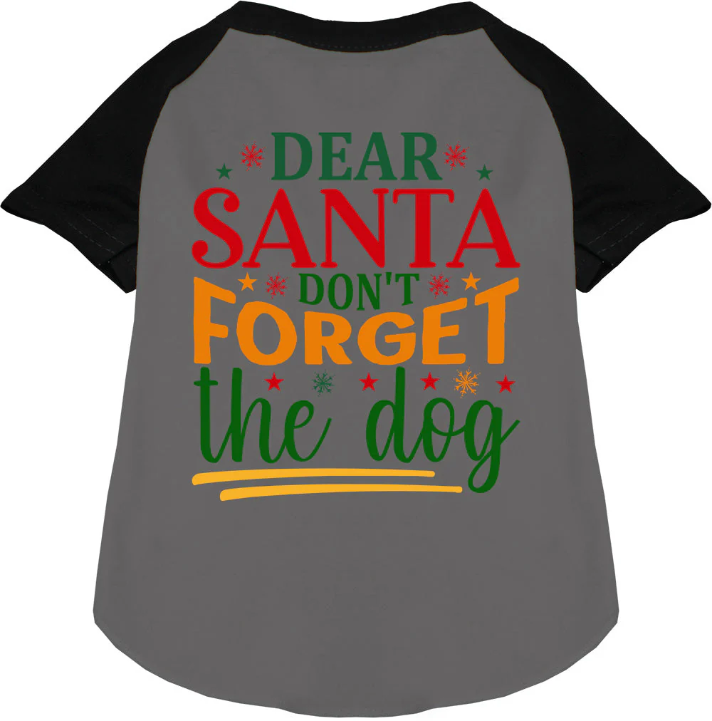 Don't Forget the Dog! Pet Raglan Shirt - Image 3