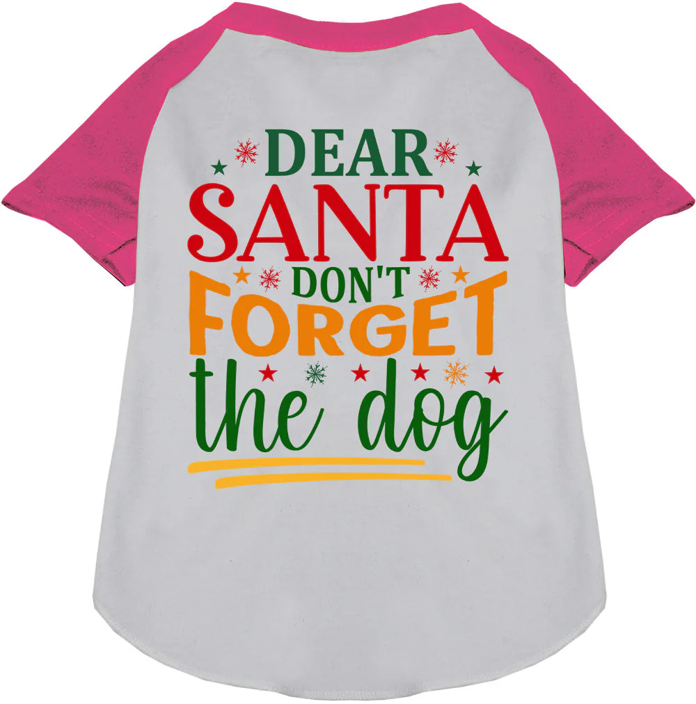 Don't Forget the Dog! Pet Raglan Shirt - Image 5