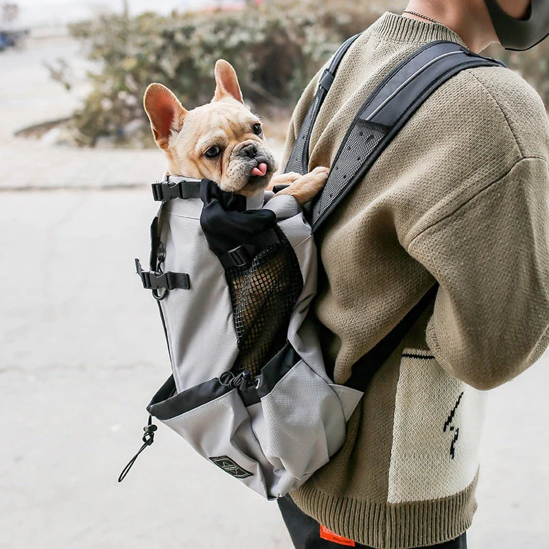 Double Shoulder Pet Carrier Travel Backpack - Image 4