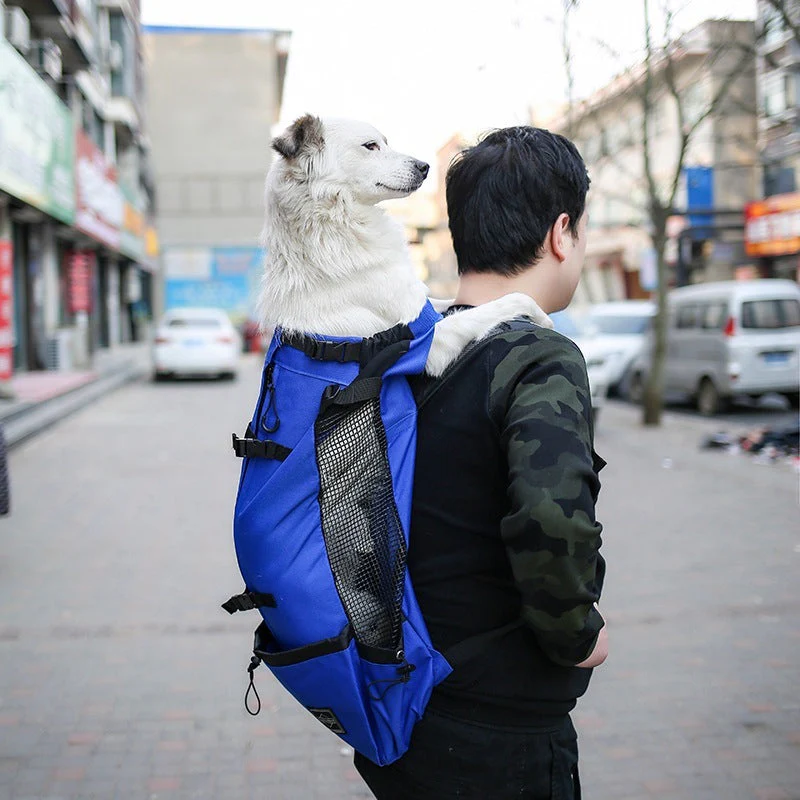 Double Shoulder Pet Carrier Travel Backpack - Image 5