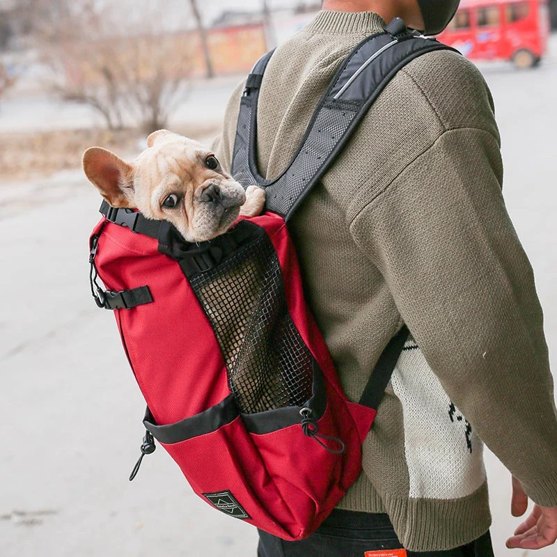 Double Shoulder Pet Carrier Travel Backpack - Image 6