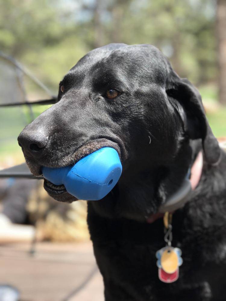 Double Trouble Dog Toy - Dual Chamber Treat Dispenser for Large Dogs | USA Made - Image 5