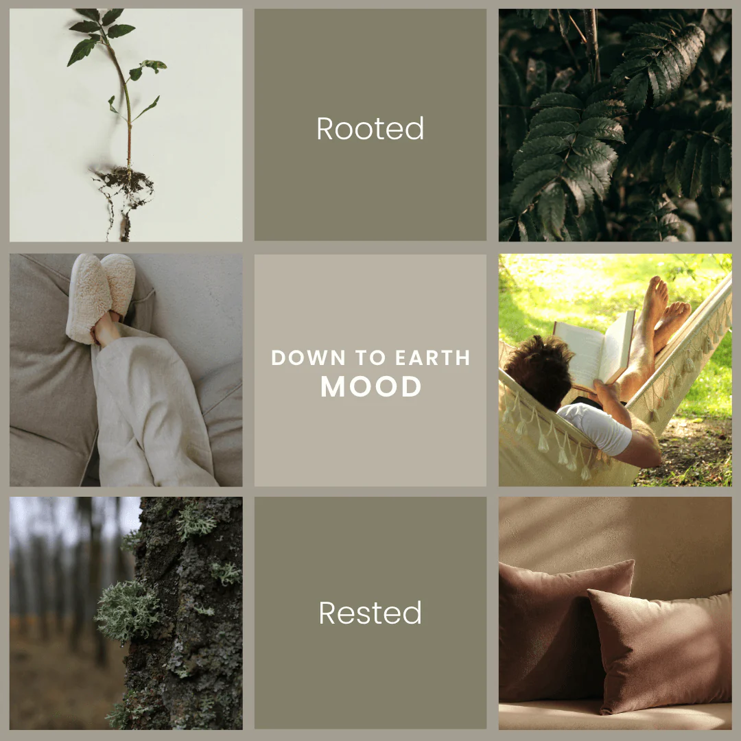 Down to Earth – Oakmoss & Sage Soy Wax Melts - Image 2