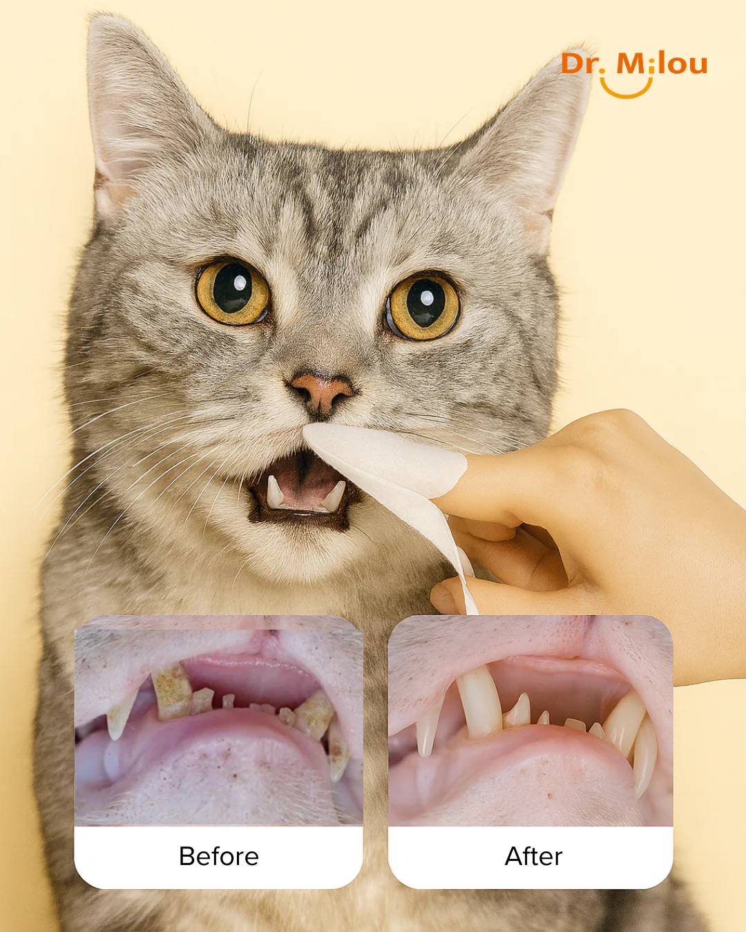 Dr. Milou Pet Dental Finger Wipes – Daily Oral Care for Dogs & Cats - Image 6