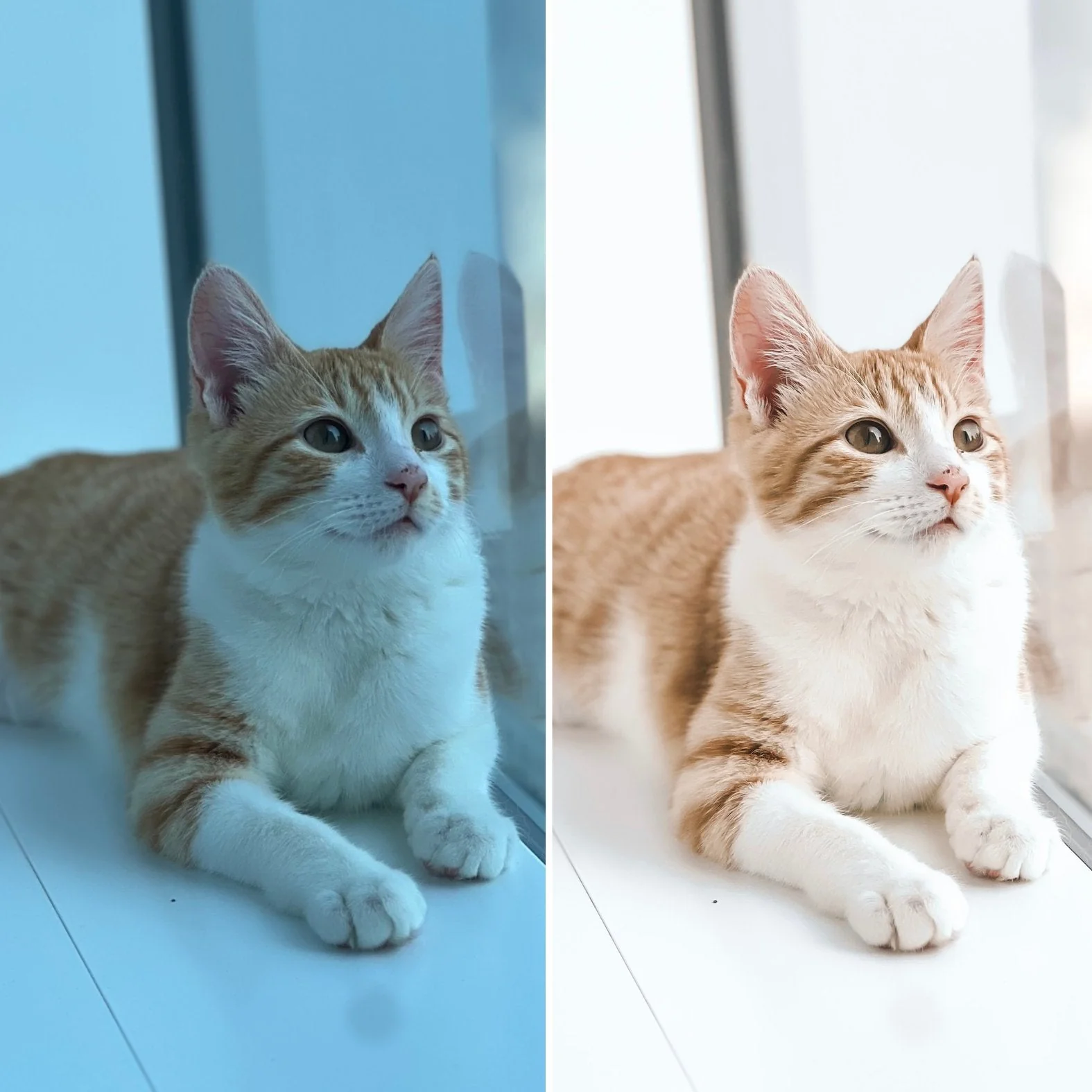 Dreamy Presets - Image 2