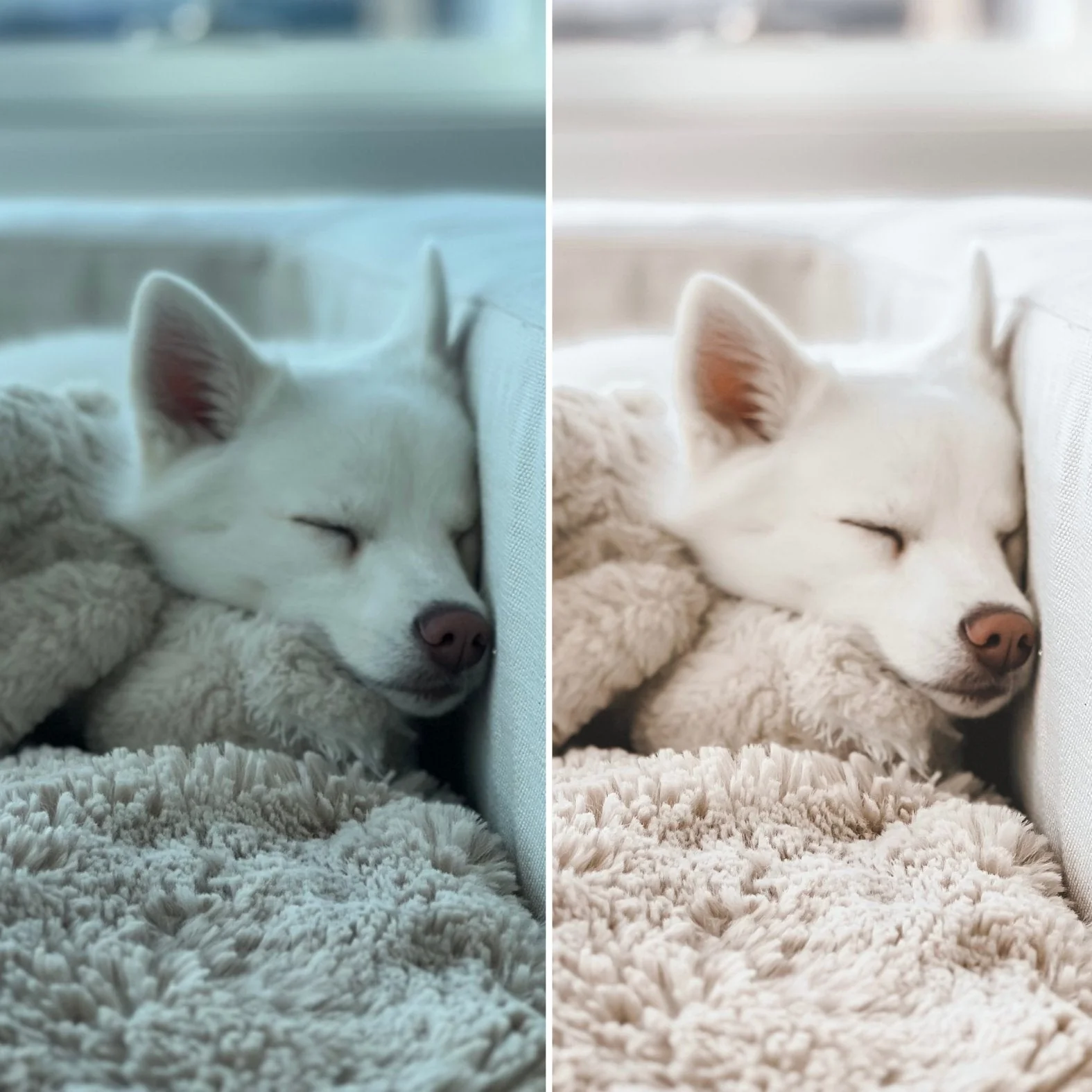 Dreamy Presets - Image 3