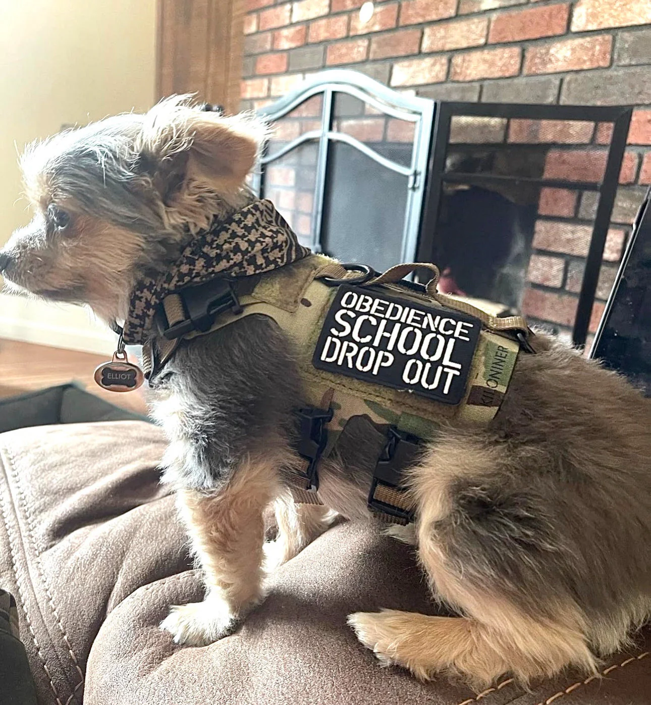 DROP OUT Morale Patch - Image 2