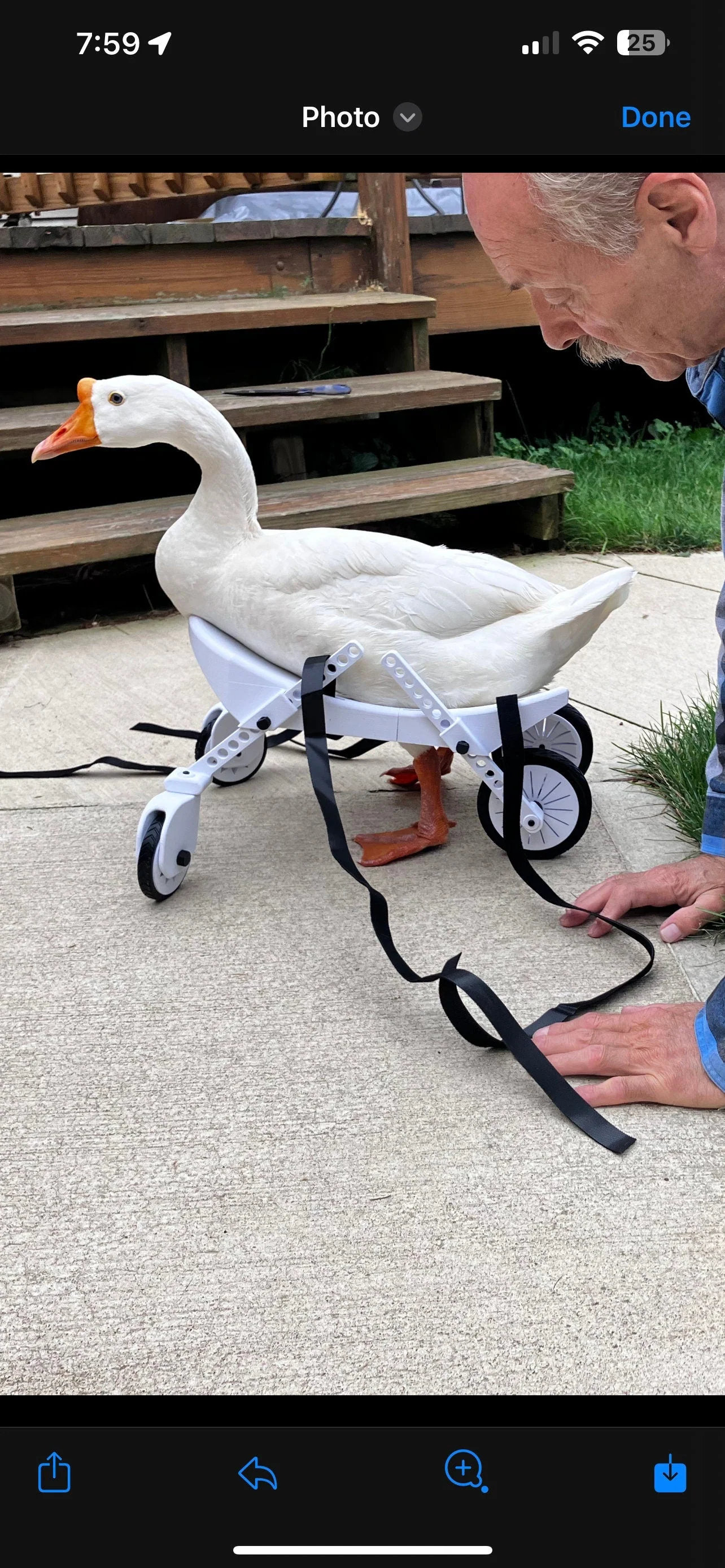 Ducky’s wheelchair - Image 7