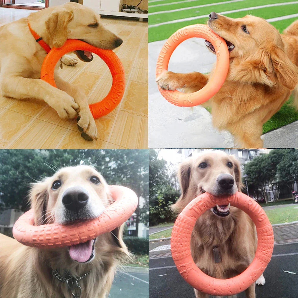 Durable Dog Ring Toy – Indestructible Flying & Chewing Training Toy - Image 2