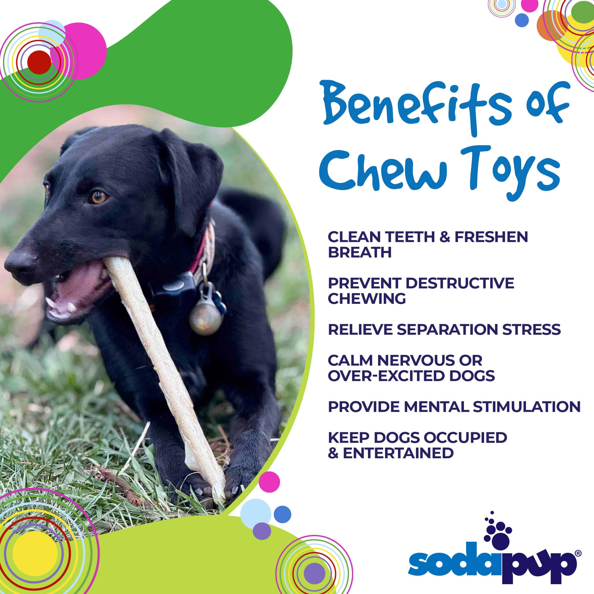 Durable Nylon Chew Stick for Power Chewers | Indestructible Dog Toy USA - Image 3