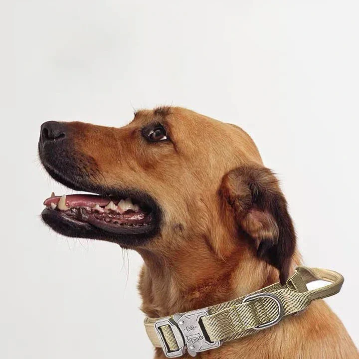Durable Nylon Dog Collar with Reflective Leash Set - Image 16
