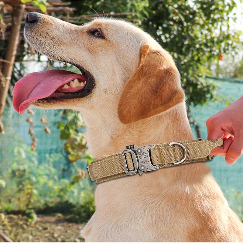 Durable Nylon Dog Collar with Reflective Leash Set - Image 17
