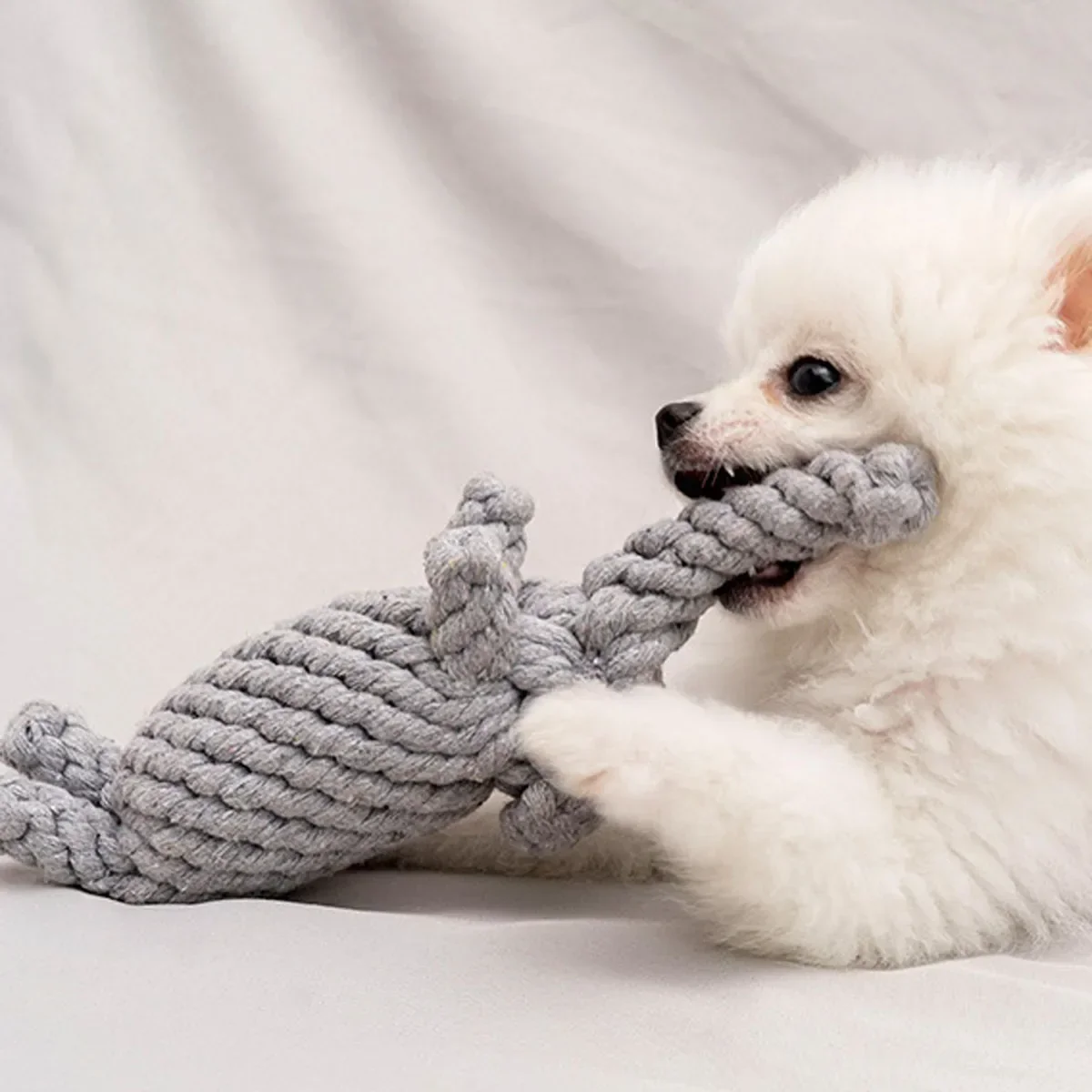 Durable Rope Knot Dog Toy – Hand-Woven Cotton Chew Toy for Small & Medium Dogs - Image 2