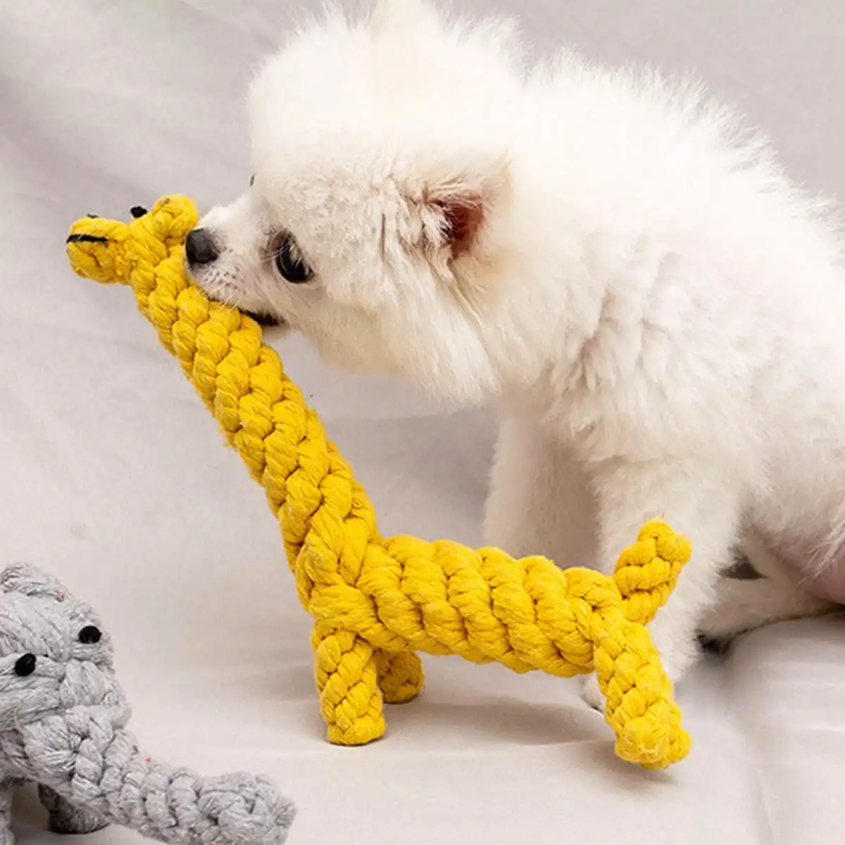 Durable Rope Knot Dog Toy – Hand-Woven Cotton Chew Toy for Small & Medium Dogs - Image 3