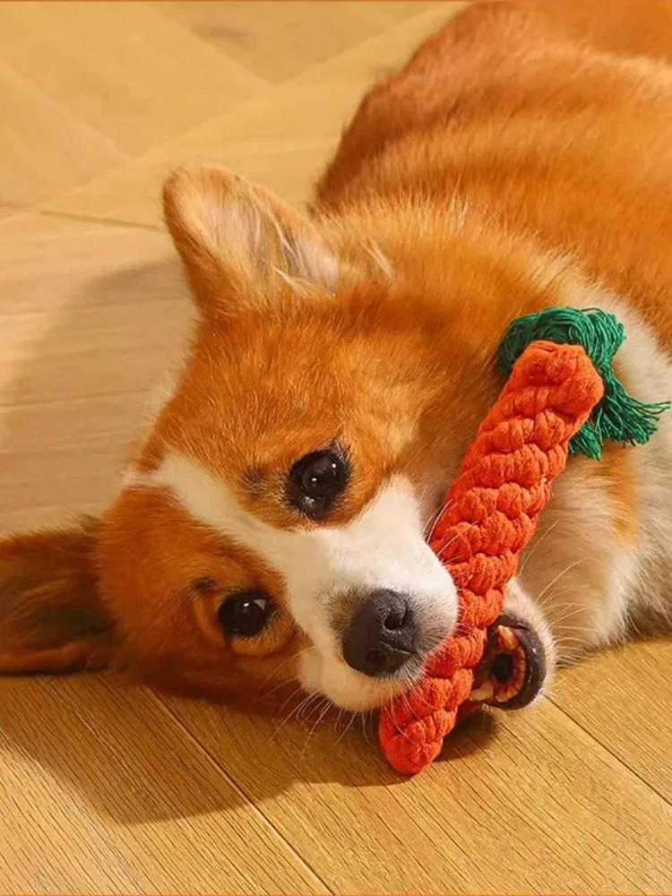 Durable Rope Knot Dog Toy – Hand-Woven Cotton Chew Toy for Small & Medium Dogs - Image 4