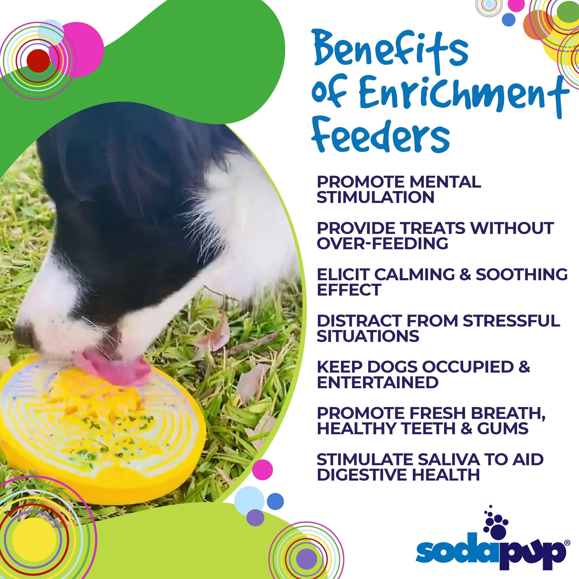 Earth eCoin Nylon Lick Mat for Dogs | USA Made Enrichment Toy | SodaPup - Image 3