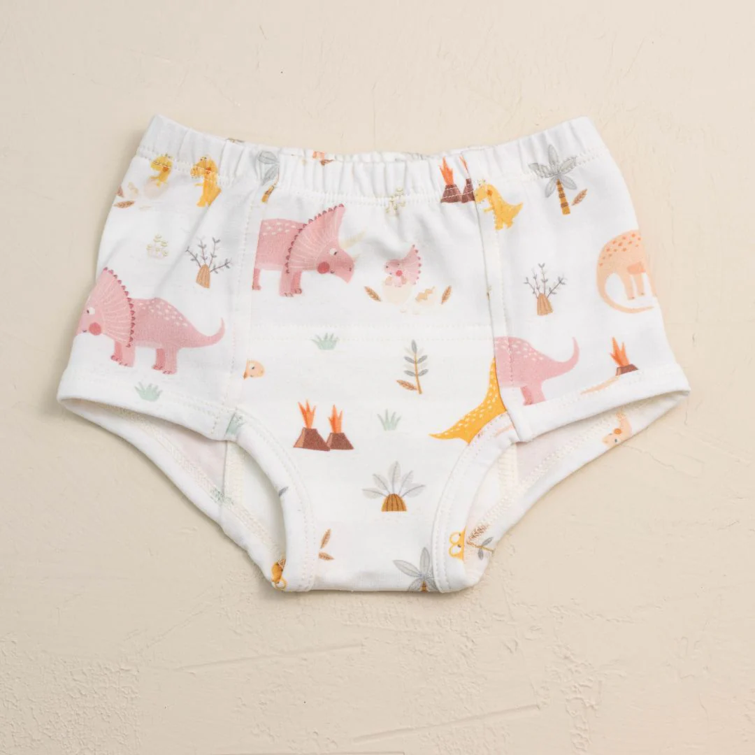 Eco Organic Potty Training Bundle (pack of 4) - Image 6
