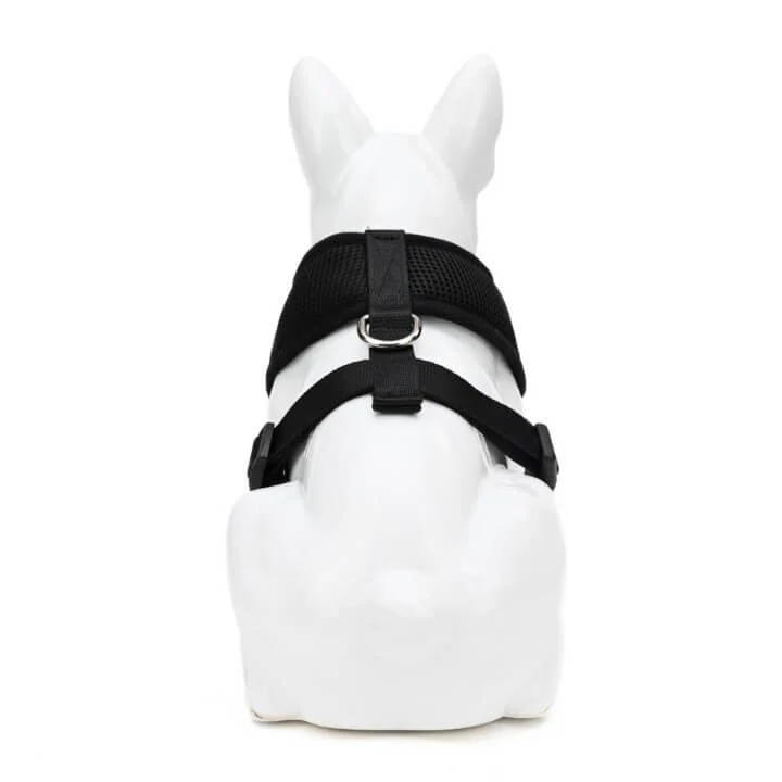 EcoBark Black Dog Harness - Over-the-Head Dog Vest Halter Dog for Small to Medium Dogs and Puppies - Image 5