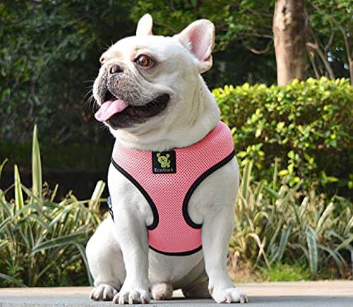EcoBark Bubblegum Pink Dog Harness - Over-the-Head Dog Vest Halter for Small to Medium Dogs and Puppies - Image 6