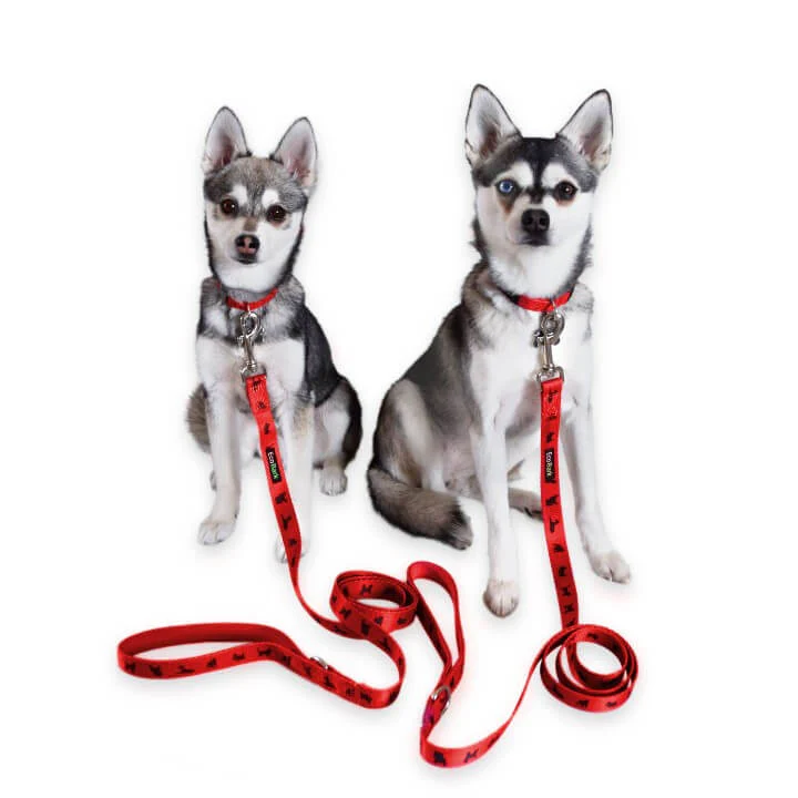 EcoBark Cherry Red Dog Leash- Padded Comfort Grip Leash with Dog Pattern - 4 ft, 5 ft, and 6 ft Leash for Small and Medium Dogs - Image 11