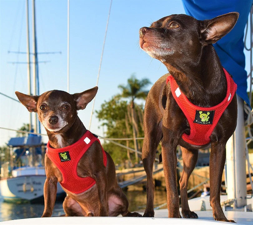 EcoBark Cherry Red Step In Dog Harness - Reflective Soft Mesh Harness for Teacup, Small Dogs and Puppies - Image 6