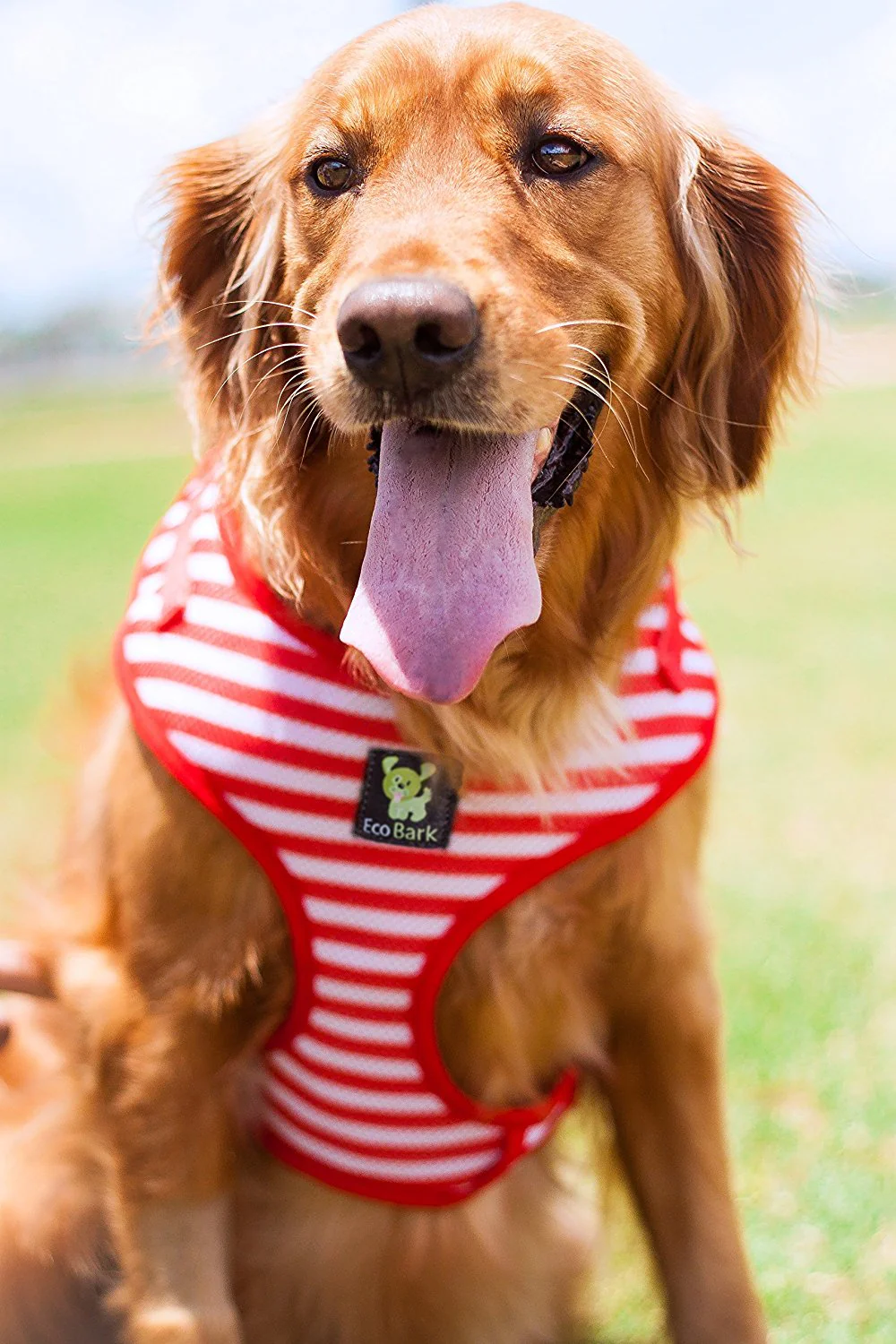 EcoBark Custom-Fit Harness & Leash Combo - Red Stripe - Image 6