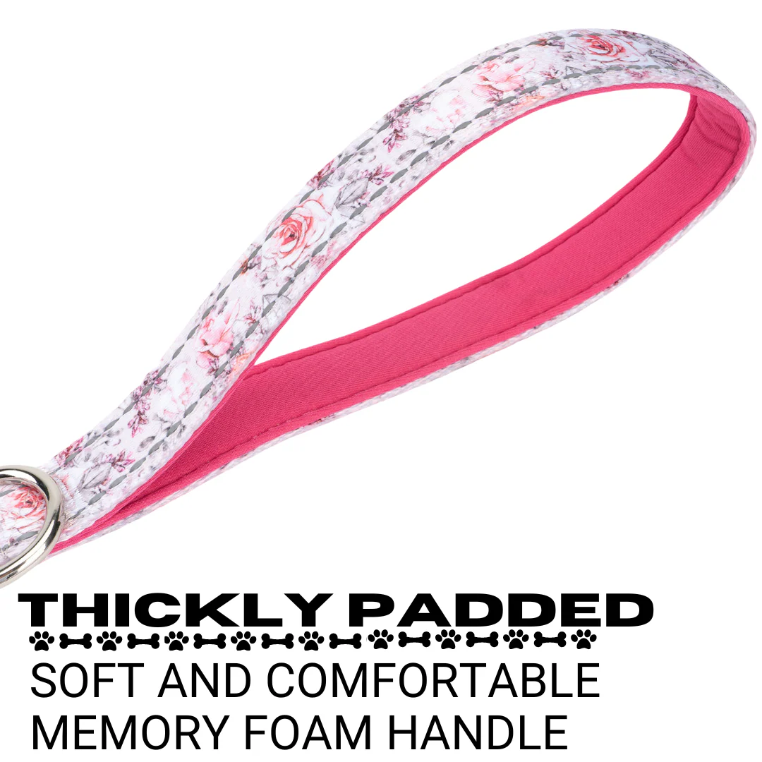 EcoBark Eco-Bright Dog Leashes - Image 6