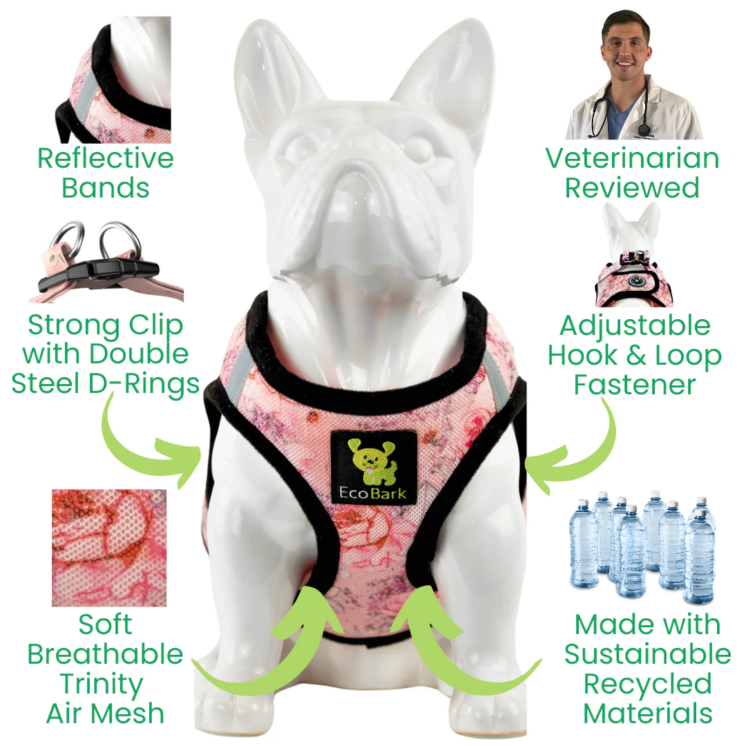 EcoBark French Floral Step In Dog Harness - Reflective Soft Mesh Harness for Teacup, Small Dogs and Puppies - Image 3