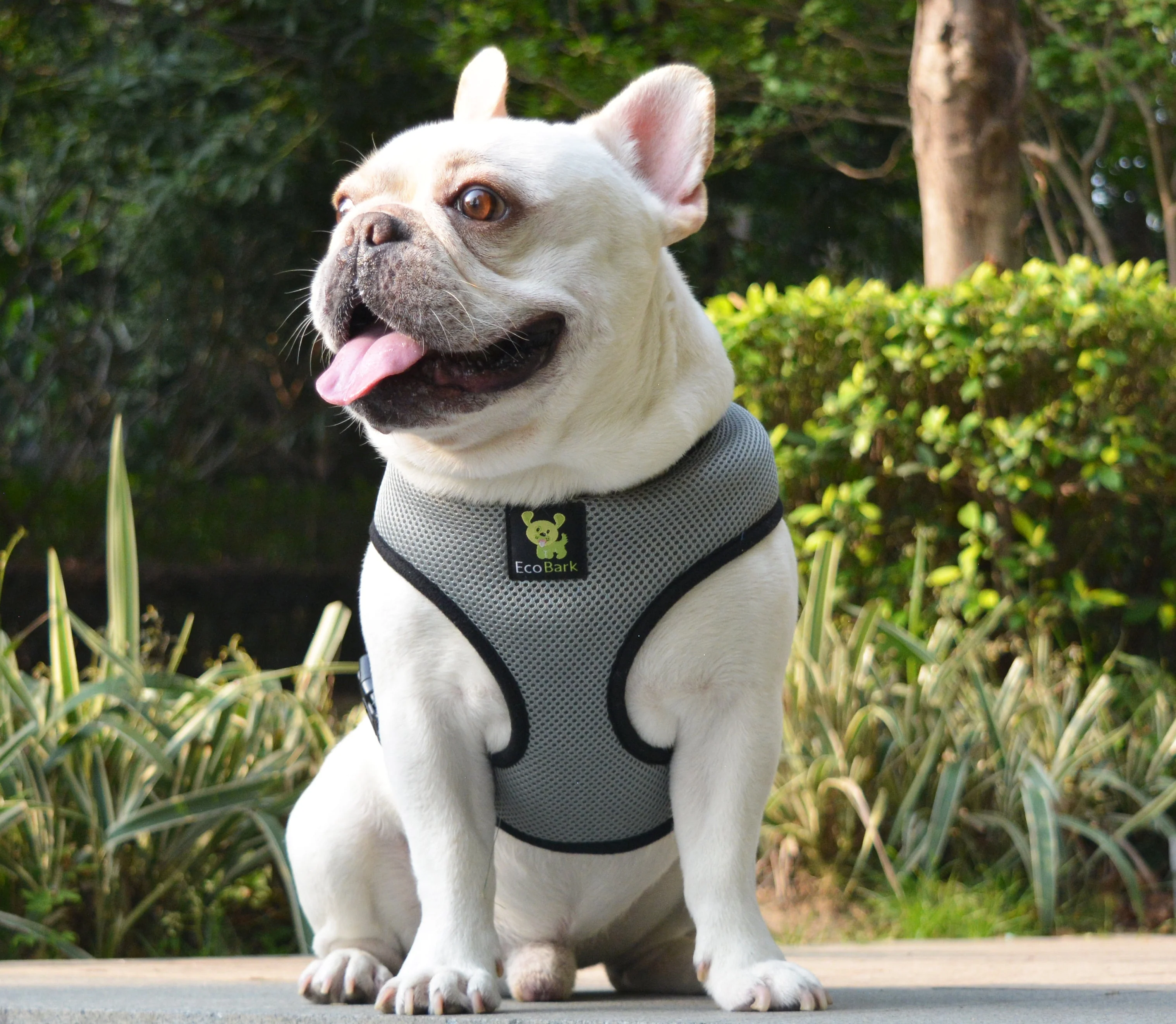 EcoBark Gray Dog Harness - Over-the-Head Dog Soft Mesh Vest Halter for Small to Medium Dogs and Puppies - Image 5