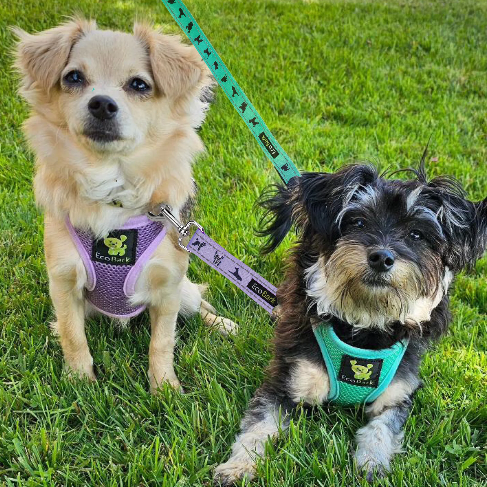 EcoBark Lavender Step In Dog Harness - Reflective Soft Mesh Harness for Teacup, Small Dogs and Puppies - Image 10