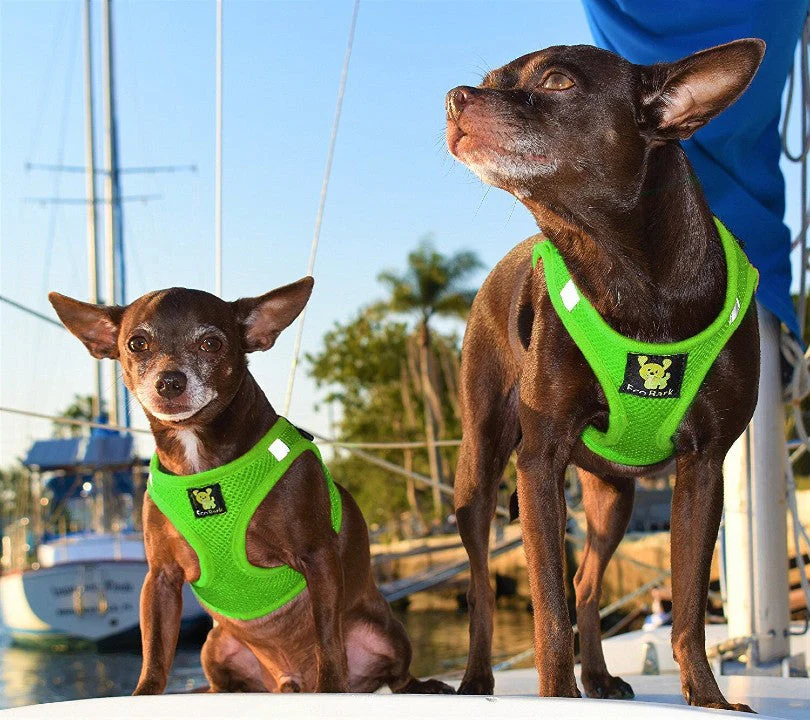 EcoBark Lime Green Step In Dog Harness - Reflective Soft Mesh Harness for Teacup, Small Dogs and Puppies - Image 4