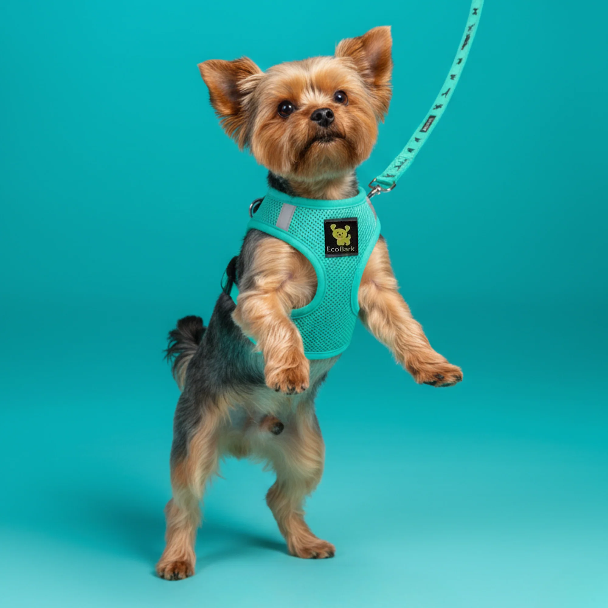 EcoBark Mint Turquoise Step In Dog Harness - Rapid Fastener Reflective Soft Mesh Vest Halter for Puppies and Small Dogs - Image 4