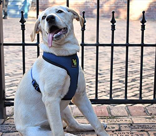 EcoBark Navy Dog Harness - Over-the-Head Soft Mesh Dog Vest Halter for Small to Medium Dogs and Puppies - Image 6