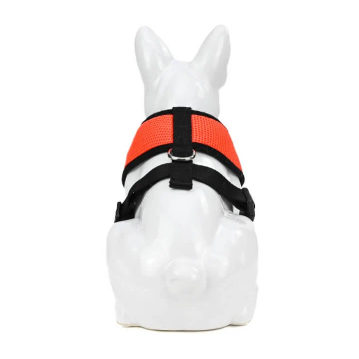 EcoBark Over-the-Head Dog Harnesses - 18 Colors & Patterns - Image 6