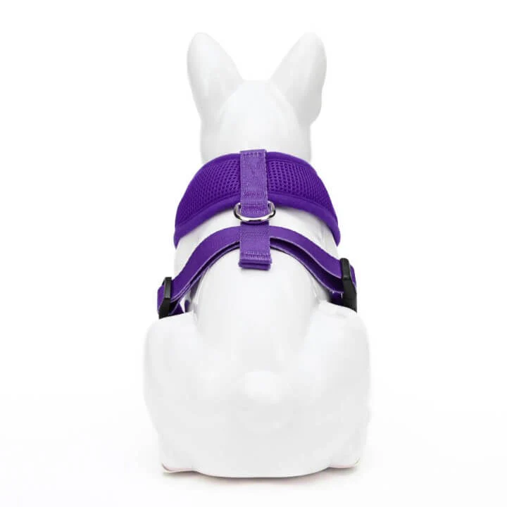 EcoBark Purple Dog Harness - Over-the-Head Soft Mesh Dog Vest Halter for Small to Medium Dogs and Puppies - Image 5