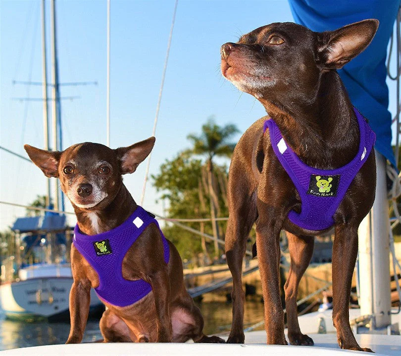 EcoBark Purple Step In Dog Harness - Rapid Fastener Reflective Soft Mesh Dog Vest Halter for Small Dogs and Puppies - Image 2
