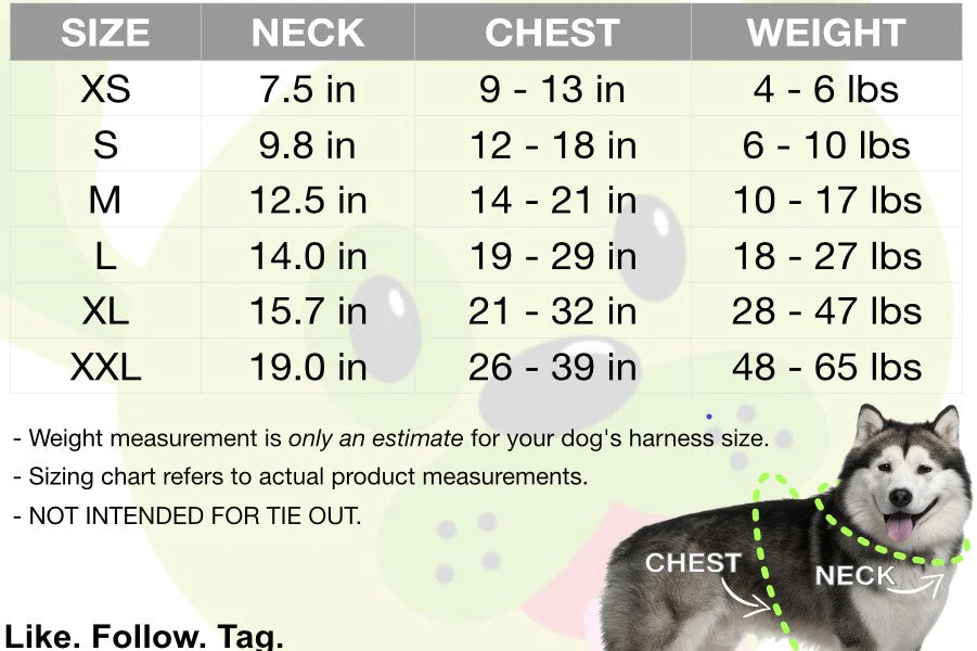 EcoBark Teal Dog Harness - Over-the-Head Soft Mesh Dog Vest Halter for Small to Medium Dogs and Puppies - Image 7