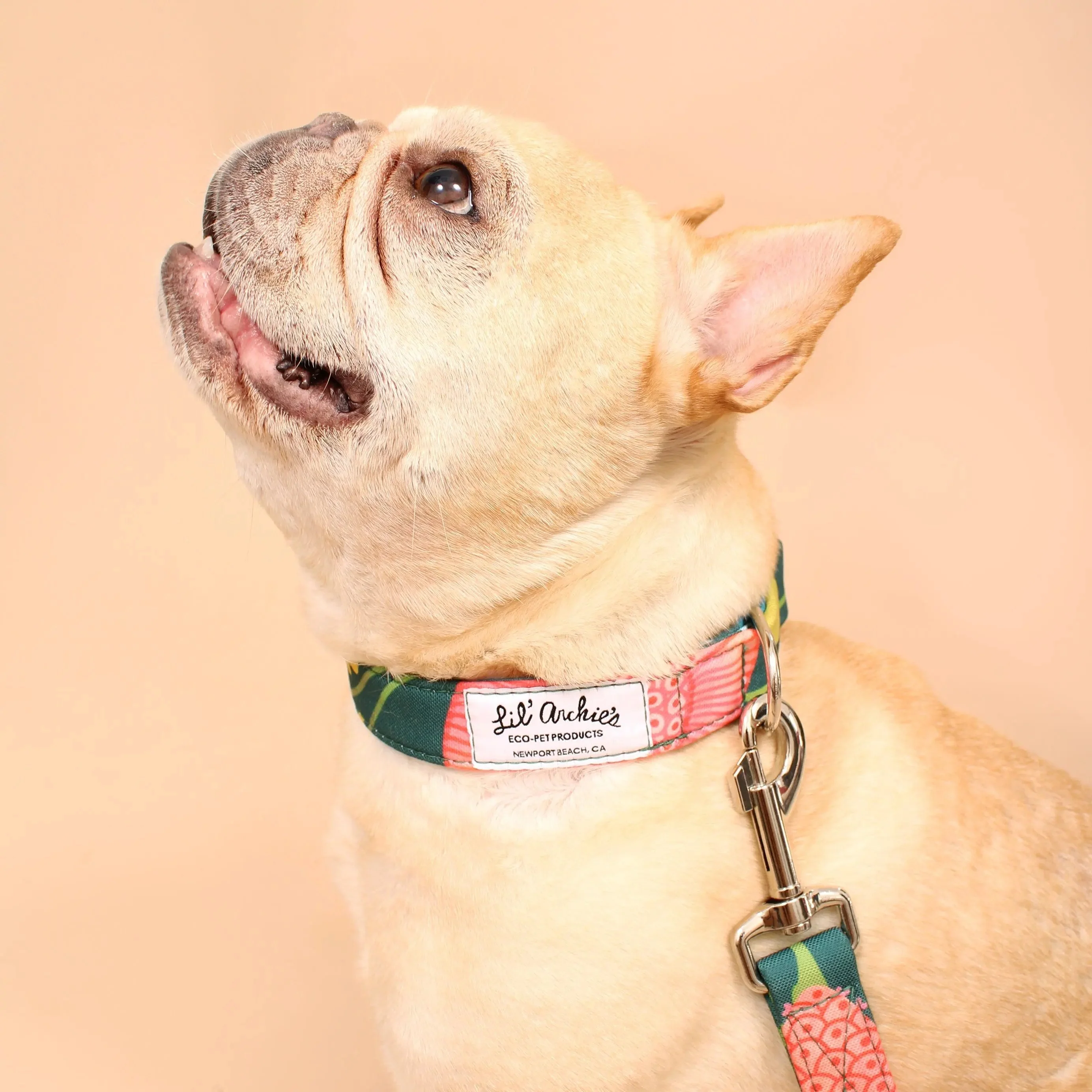 Eden Recycled Dog Collar - Image 2