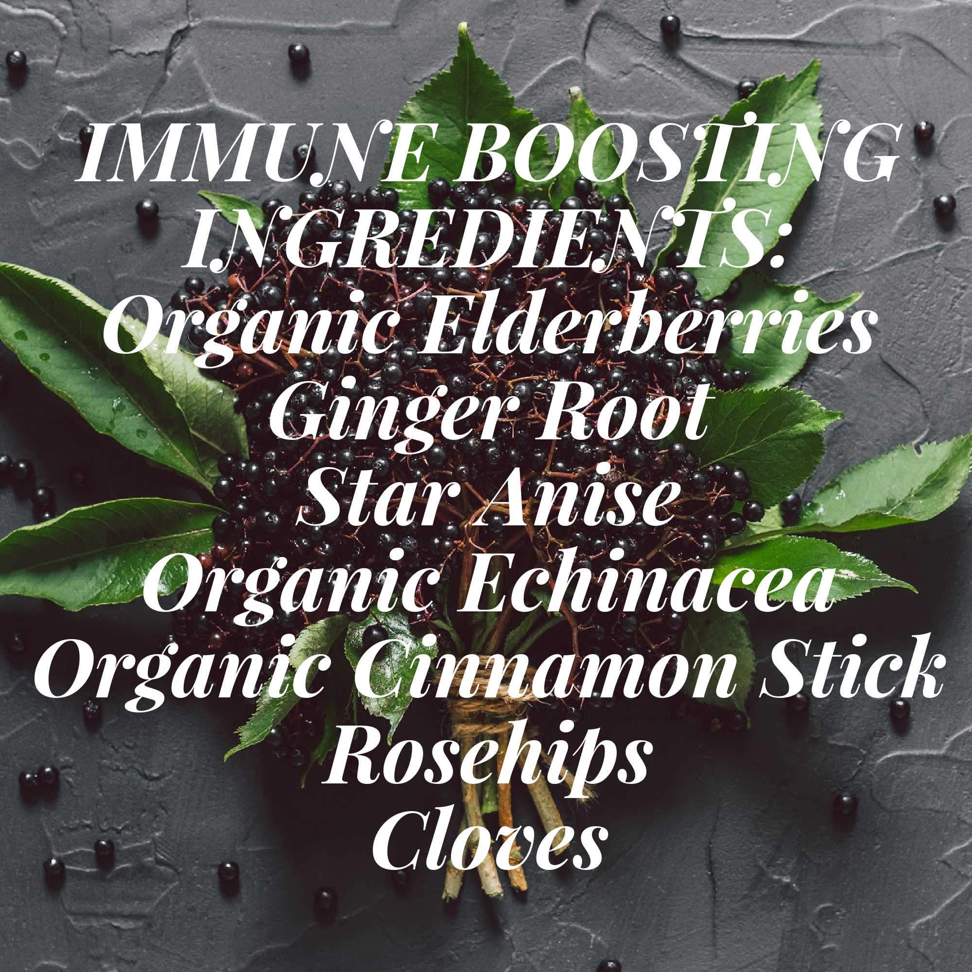 Elderberry DIY Kit - Herbal Remedy Aid for Colds, Flu, Allergies - Image 2
