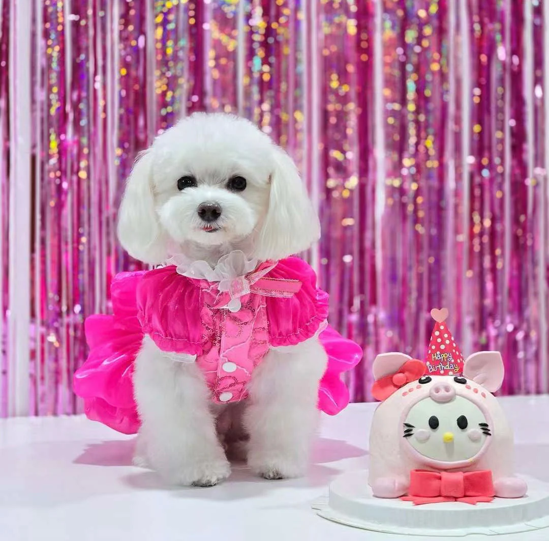 Elegant Hot Pink Lace Dog Party Dress - Image 5
